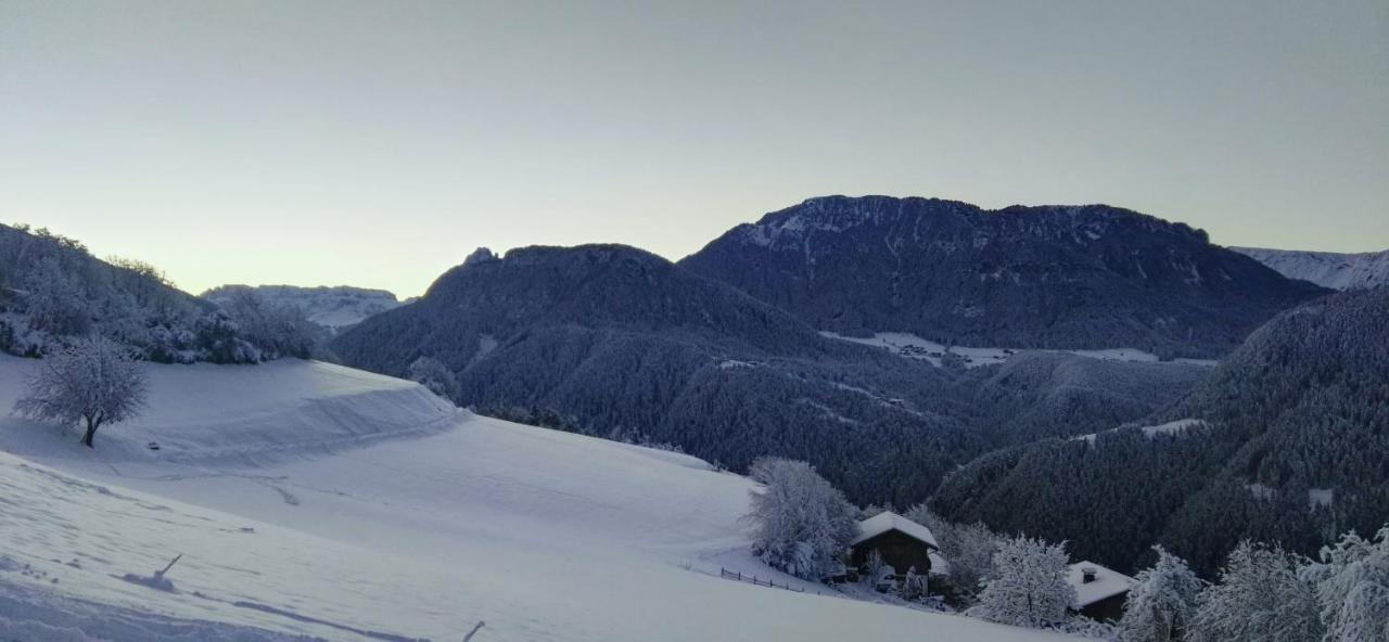 Alpine Chalet Aurora Dolomites Laion Buitenkant foto